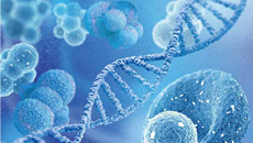 广州国际细胞与健康产业大会